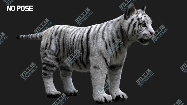 images/goods_img/20210312/3D White Tiger Baby Fur/4.jpg